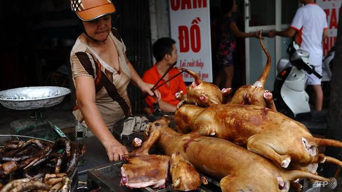 Không có bất cứ điều gì đảm bảo thịt chó ra thị trường được an toàn vệ sinh thực phẩm.