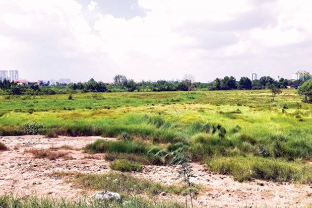 Sau 17 năm, dự án Khu dân cư Bình Trưng Đông chỉ là bãi cỏ hoang hoá.