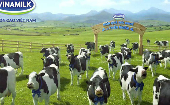 Đây là lần thứ 8 trong năm nay, F&N Dairy Investments Pte Ltd đăng ký mua cổ phần của Vinamilk.