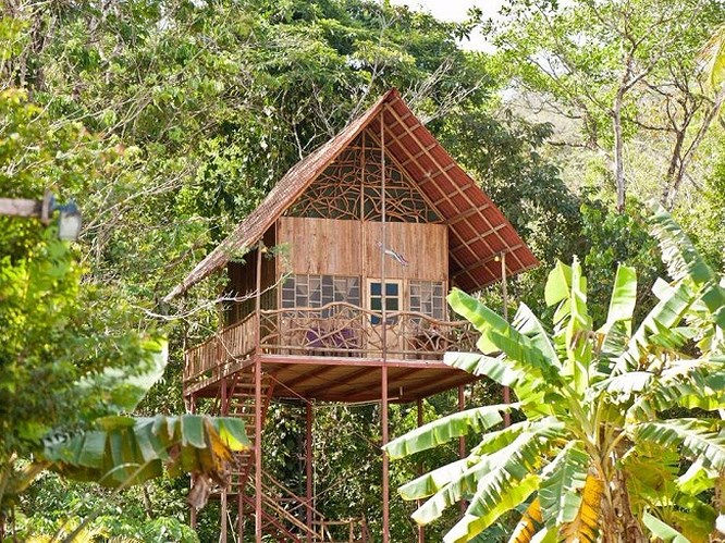 Rainforest Tree House ở Alajuela, Costa Rica: Rainforest Tree House tọa lạc trong khu nghỉ dưỡng với suối nước nóng và chỉ cách  núi lửa Arenal nổi tiếng của Costa Rica vài phút lái xe. Ngôi nhà gồm một phòng ngủ chính với một giường đôi lớn, hai giường đôi nhỏ, một bếp ăn và một nhà tắm. (nguồn internet).