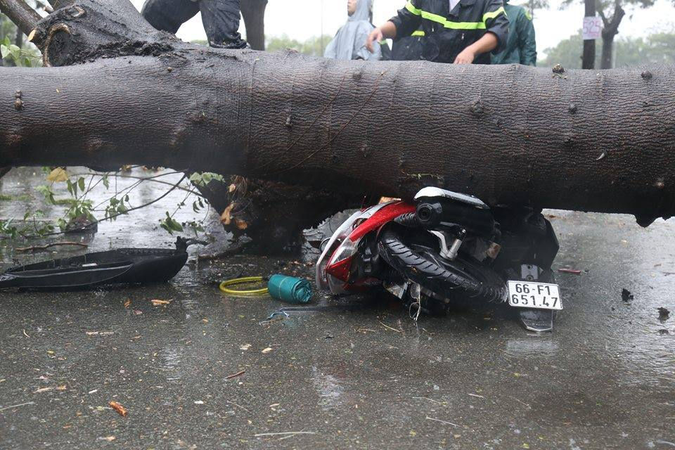 Chiếc xe gắn máy cùng nạn nhân bị cây xanh đè bẹp dúm.