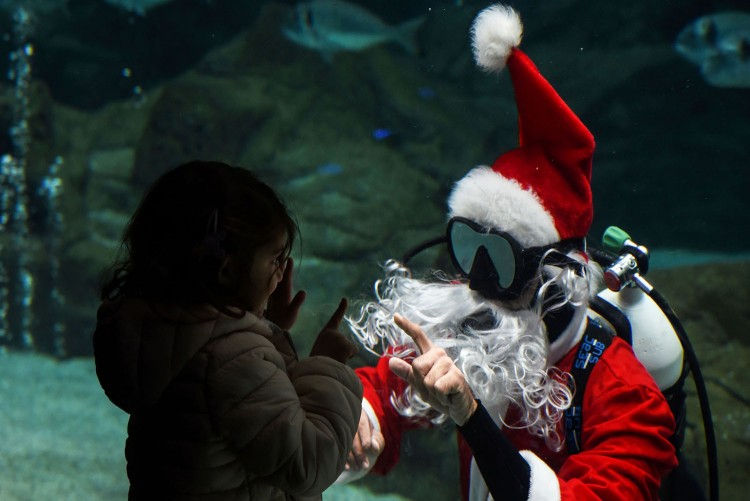 Bé gái đưa tay chào thợ lặn trong trang phục “Ông già Noel” tại một Công viên thủy cung ở thị trấn Gournes, Crete, Hy Lạp. Ảnh: AFP