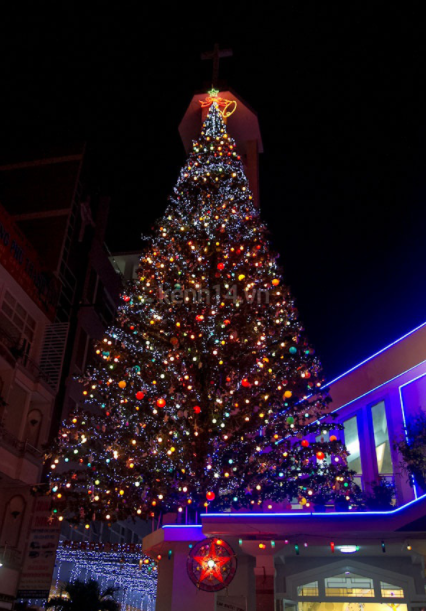 Cây thông Noel khổng lồ được đặt trên nóc nhà thờ An Nhơn (Ảnh sưu tầm)