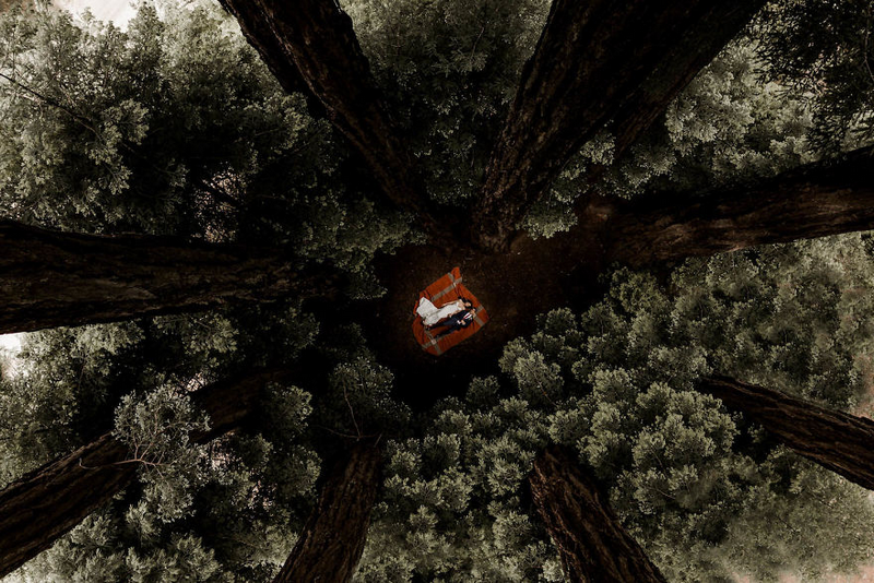 Khu rừng như muốn bao bọc lấy hai con người bé nhỏ ấy. Bức ảnh được chụp ở Glen Oaks Big Sur, California, Hoa Kỳ bởi nhiếp ảnh gia Elisabetta Redaelli.