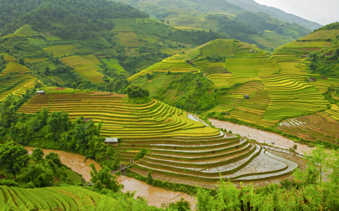 Từ những khối đá ấn tượng của Vịnh Hạ Long đến những thửa ruộng bậc thang của núi Sa Pa mang vẻ đẹp cuốn hút, Việt Nam được biết đến với số lượng không nhỏ địa danh mang vẻ đẹp tự nhiên đầy mê hoặc.