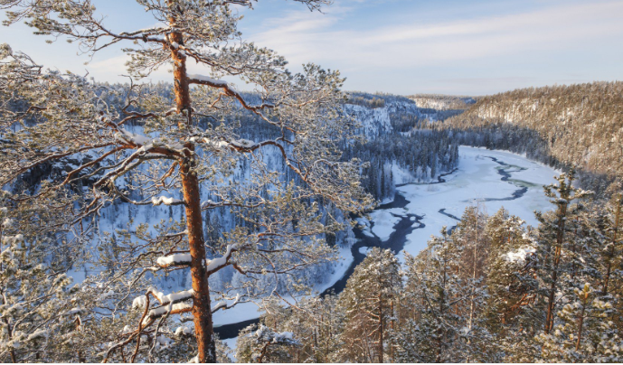 Có lẽ một trong những quốc gia bí ẩn nhất châu Âu, có rất nhiều điều chiều chuộng tình yêu của du khách là ở Phần Lan. Bầu trời, những khu rừng, sự huyền bí và tất cả mọi thứ khác khiến cho nó trở thành một trong những quốc gia đẹp nhất trên thế giới.