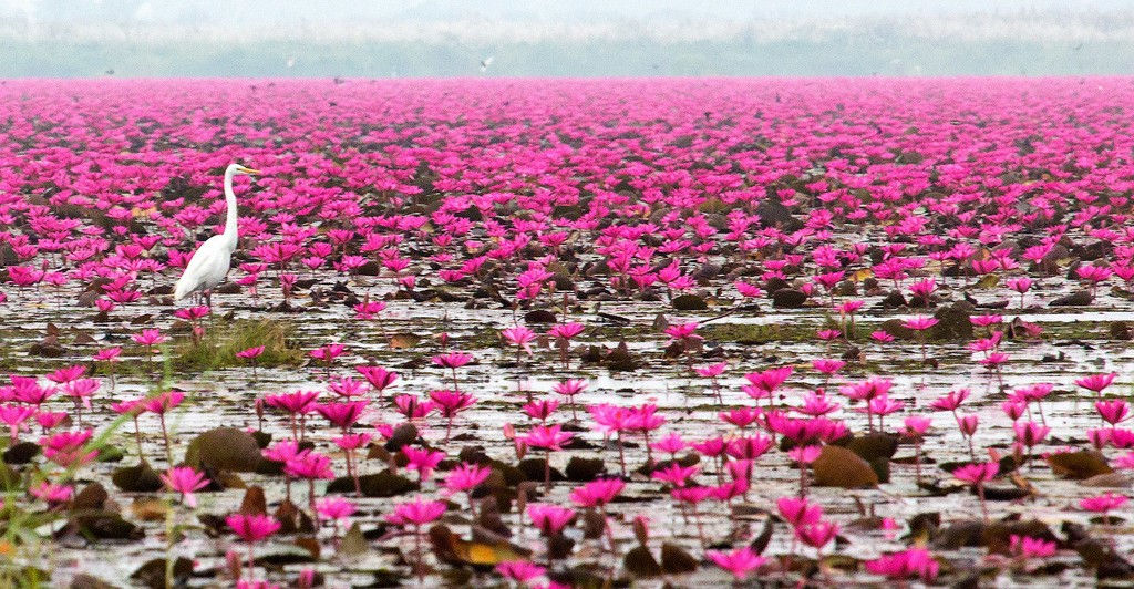 6 địa điểm du lịch Miền Tây mà bạn không nên bỏ qua