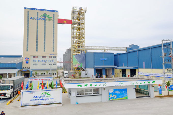 Một góc nhà máy sản xuất thức ăn chăn nuôi của Anova Feed tại Hưng Yên được xây dựng hồi năm 2017.