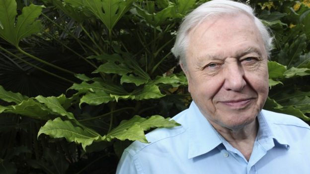 Sir David Attenborough là người có tuổi cao nhất trong hội nghị.