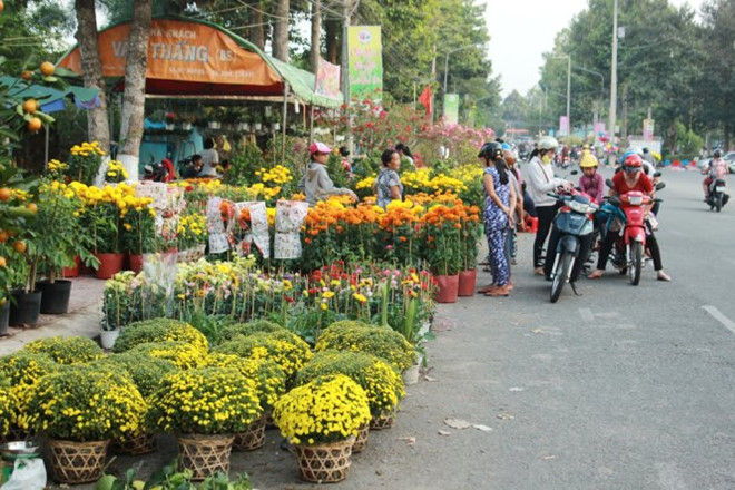 Một gian hàng bán hoa cúc bên đường.