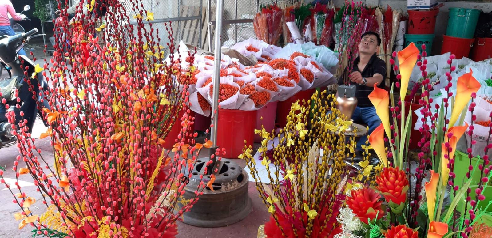 TP.HCM đồng loạt mở cửa các chợ hoa phục vụ Tết Kỷ Hợi 2019