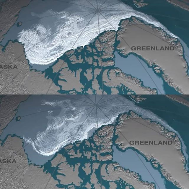   Alaska có lẽ là một khu vực chịu sự nóng lên toàn cầu hơn những nơi khác. Mức độ carbon dioxide tăng lên đã dẫn đến sự gia tăng nhiệt độ, làm cho băng tan vào đầu mùa hơn bình thường và dẫn đến băng co lại.  Ngoài ra, các nghiên cứu cho thấy băng biển Bắc Cực mất 3,7% thể tích sau mỗi 10 năm và nhiệt độ bề mặt của biển Bắc Cực cao hơn 7,2 độ trong năm 2017 so với năm 1982-2010.  
