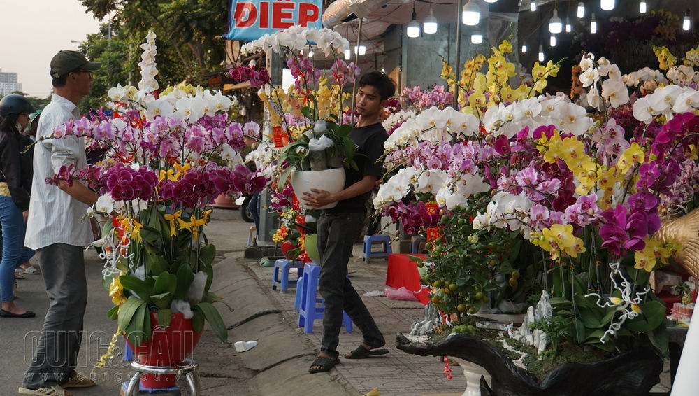 Anh Hoàng Anh, chủ cửa hàng trên đường Thành Thái, quận 10 cho biết: “Giá mỗi cành hoa là 250.000 đồng, mỗi cành từ 6 - 12 bông; khách hàng muốn lấy màu gì, bao nhiêu cành thì cứ yêu cầu, cửa hàng sẽ sắp xếp vào chậu sao cho hài hòa và đẹp mắt nhất”. 