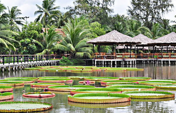   Không gian thanh bình và trong lành của khu du lịch Văn Thánh.  