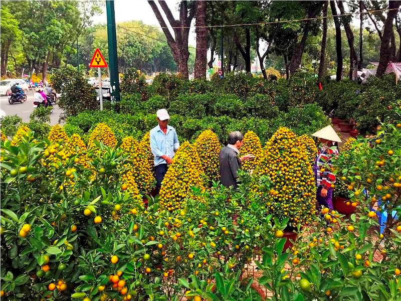 Chợ hoa Tết lớn nhất Sài Gòn nhộn nhịp ngày cuối năm