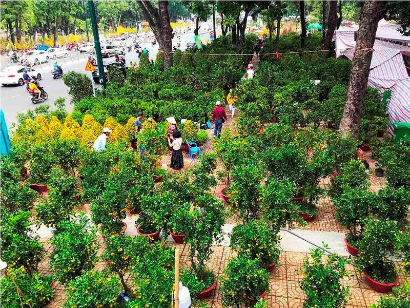 Chợ hoa Tết lớn nhất Sài Gòn nhộn nhịp ngày cuối năm