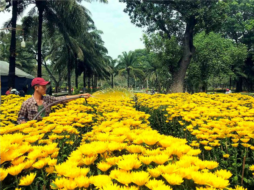 Chợ hoa Tết lớn nhất Sài Gòn nhộn nhịp ngày cuối năm