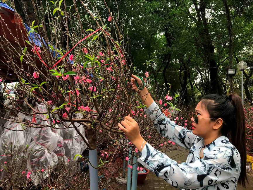 Chợ hoa Tết lớn nhất Sài Gòn nhộn nhịp ngày cuối năm