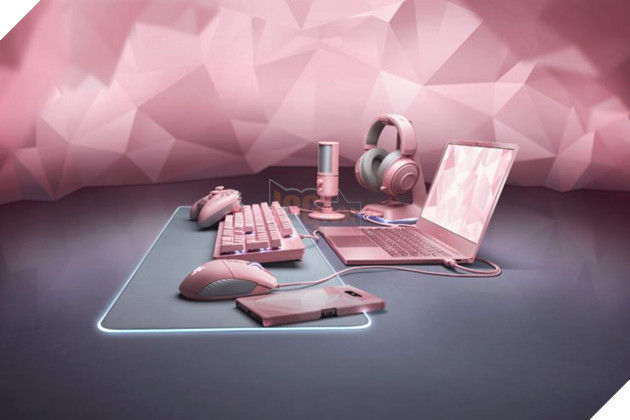 laptop-razer-mau-hong-razer-blade-stealth-quarzt-pink-edition__5__IZRJ
