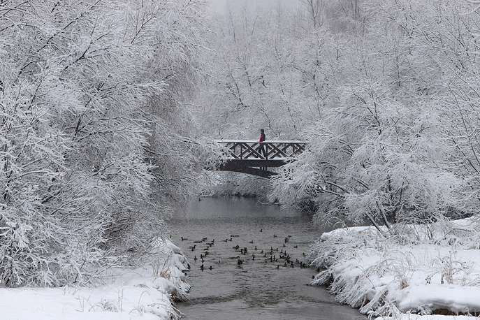 Tuyết đã phủ trắng công viên Babushkinsky
