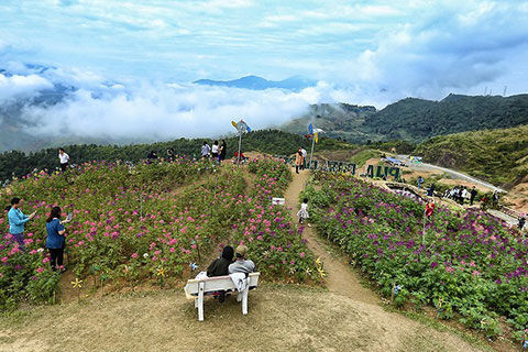 Đầu xuân, 