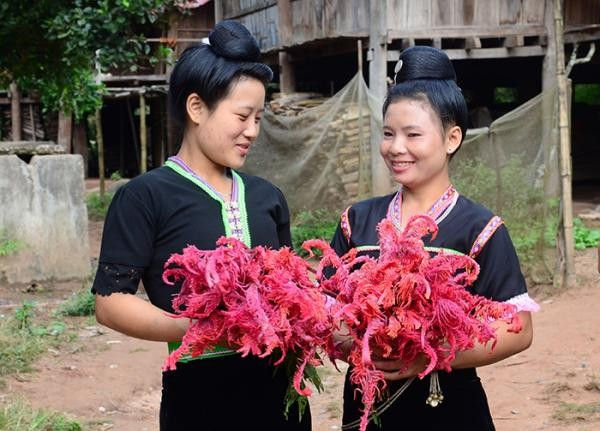 Phụ nữ dân tộc Cống hái những bó hoa mào gà rực rỡ đi chơi Tết.