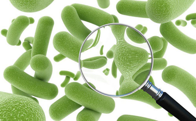Uống men vi sinh có thể làm giảm tác dụng phụ khi dùng thuốc kháng sinh 
