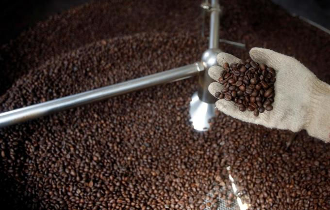   Giá cà phê hôm nay tại các tỉnh Tây nguyên giữ ở mức 33.300 đồng/kg.  