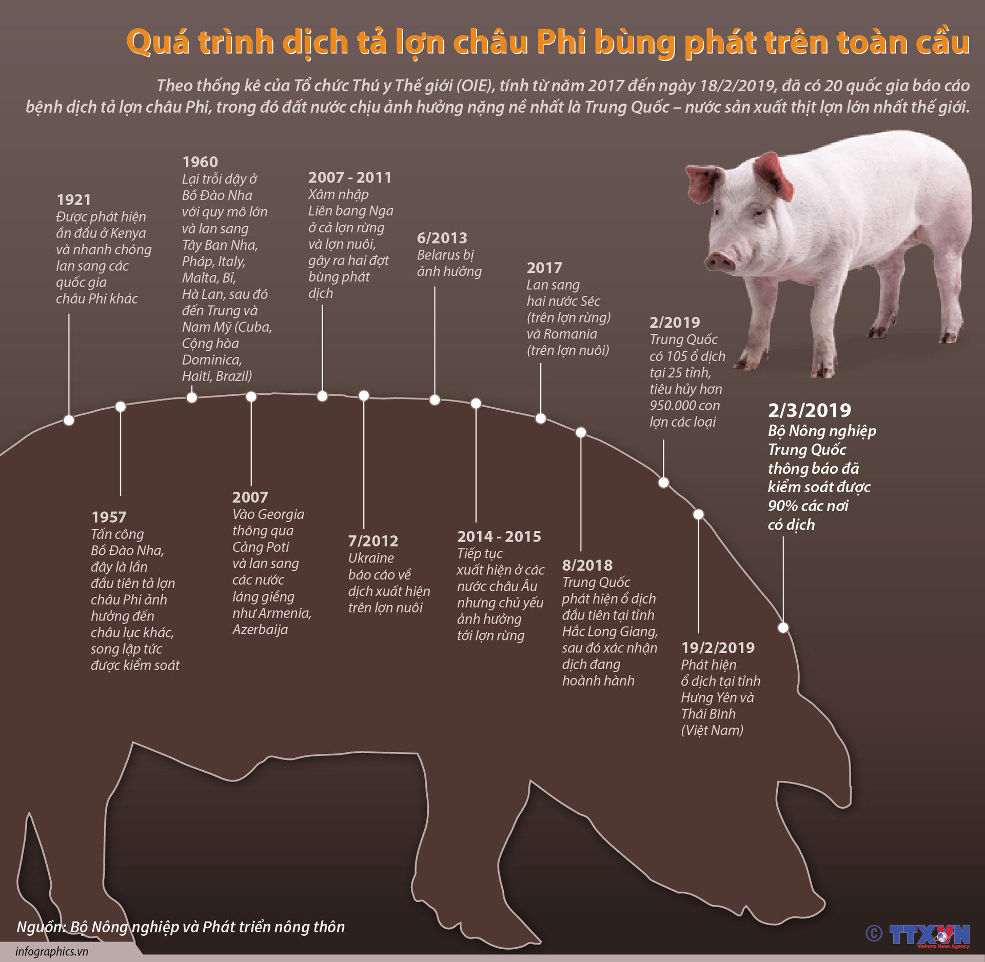 Dịch tả heo châu Phi bùng phát trên toàn cầu như thế nào?