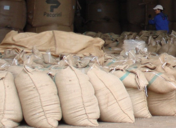 Lượng cà phê xuất khẩu của Việt Nam trong tháng 2 đã giảm khá mạnh.