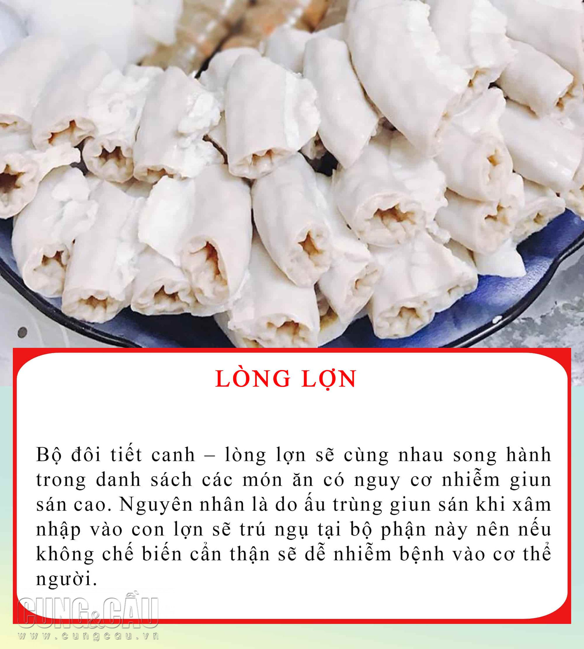 long lon (1)