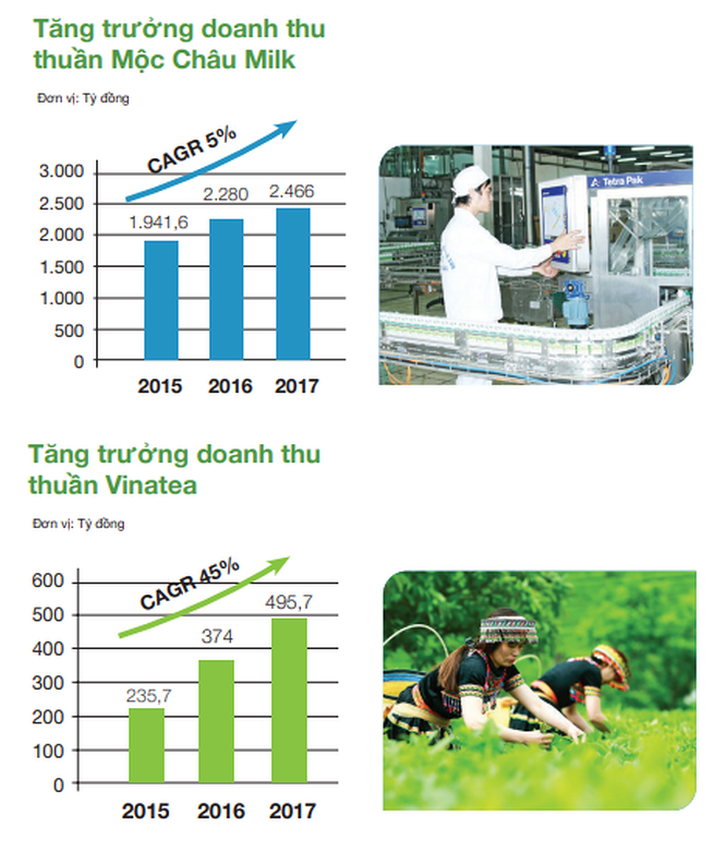  Tăng trưởng doanh thu thuần của Mộc Châu Milk và Vinatea giai đoạn 2015 - 2017 (Nguồn: GTN)