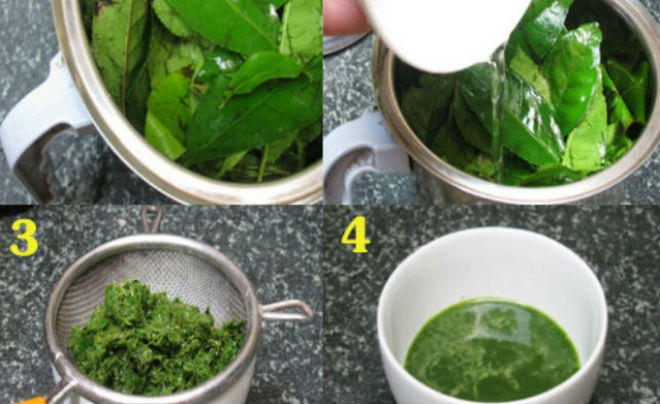2 cách làm bột trà xanh đơn giản từ lá trà tươi