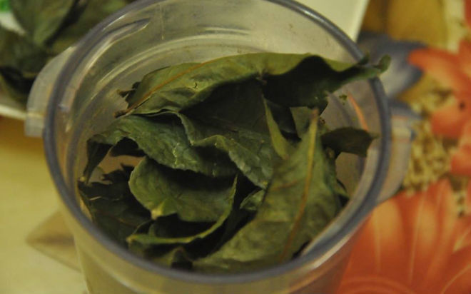 2 cách làm bột trà xanh đơn giản từ lá trà tươi
