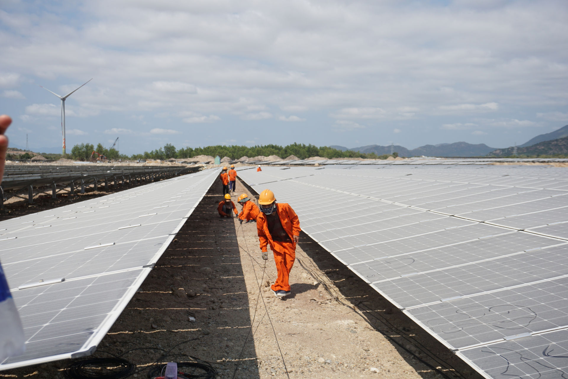Cận cảnh 'cánh đồng' điện mặt trời, điện gió ở Ninh Thuận 
