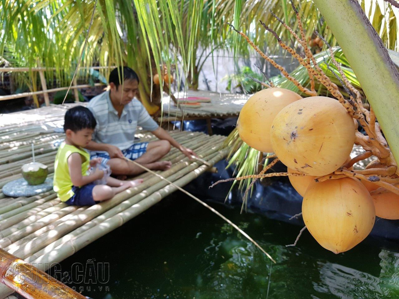 Mô hình trồng dừa kết hợp du lịch sinh thái. Ảnh: Cẩm Viên