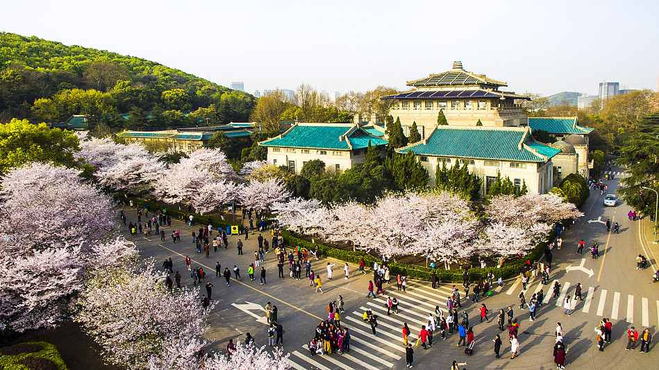 Không cần tới Nhật Bản, bạn có thể ngắm hoa anh đào đẹp hút hồn tại Trung Quốc