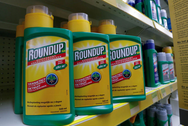 Glyphosate là thành phần trong thuốc diệt cỏ Roundup của Hãng Bayer AG.