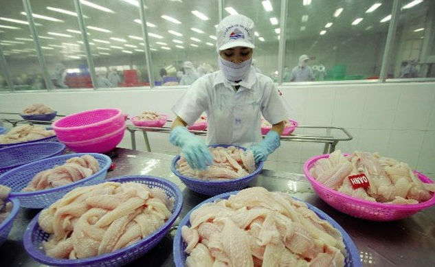 Trung Quốc những năm gần đây trở thành thị trường nhập khẩu cá tra lớn nhất của Việt Nam.