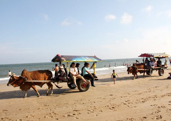 Khám phá biển Cam Bình với bãi biển đẹp hoang sơ và thỏa thích ăn hải sản