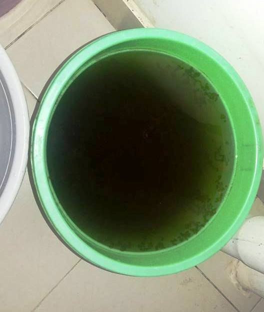 Hơn 550 hộ dân ở chung cư HQC Hóc Môn phải sử dụng nước sinh hoạt đen ngòm.