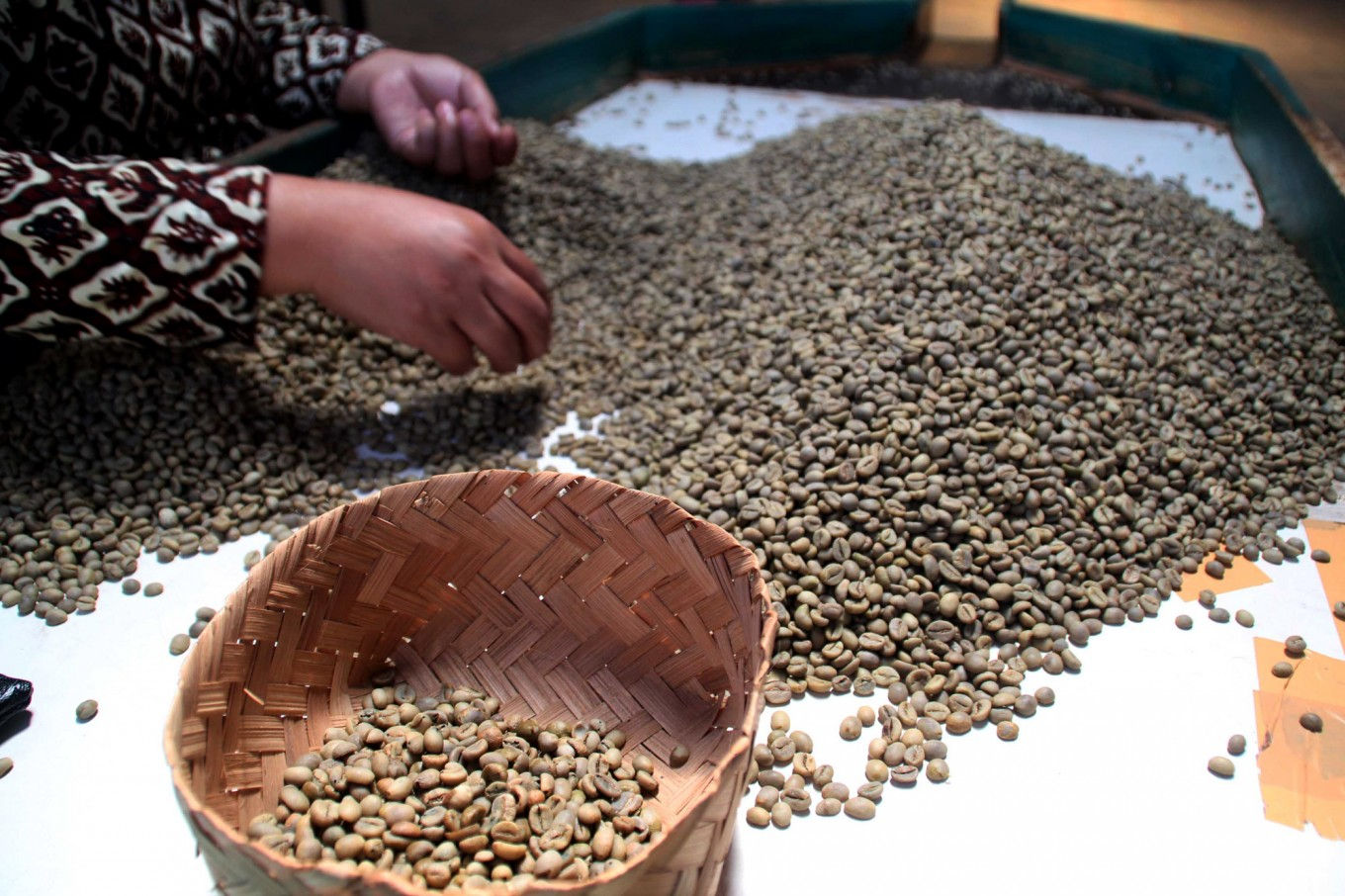 Đợt tăng hôm nay có thể giúp giá cà phê giữ mức 31.600 đồng/kg trong khoảng 3 ngày.