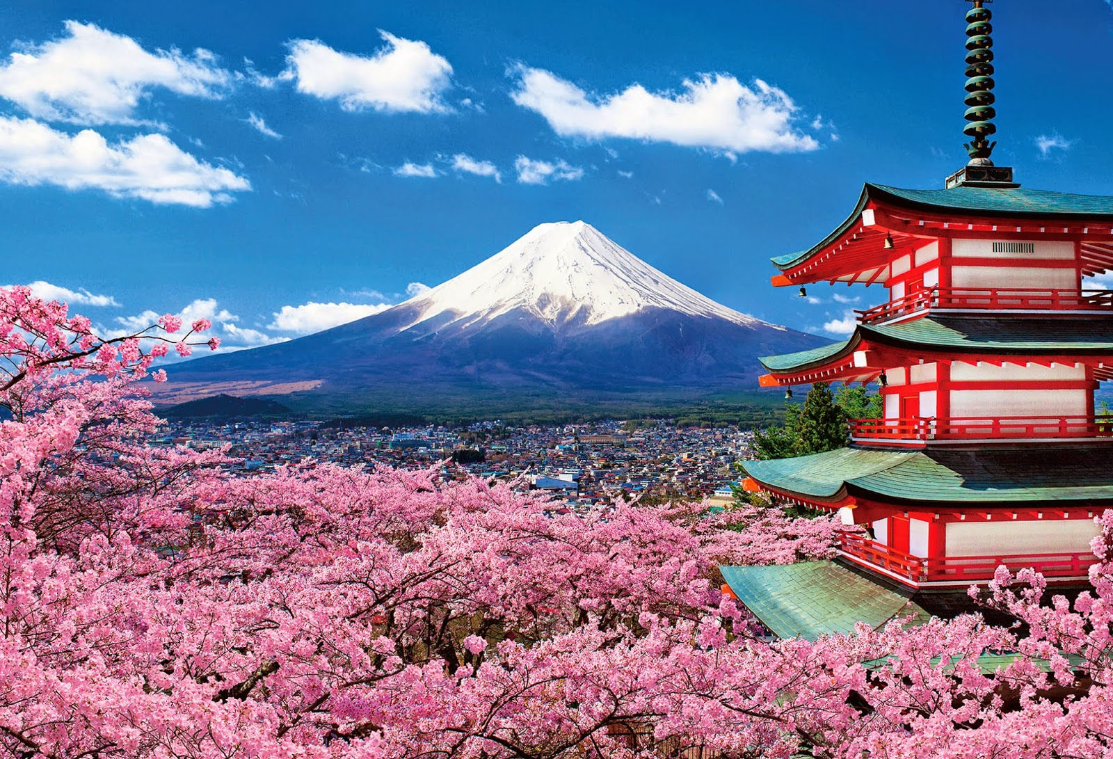 Du lịch Nhật Bản dễ dàng hơn với những bí quyết từ hướng dẫn viên bản địa