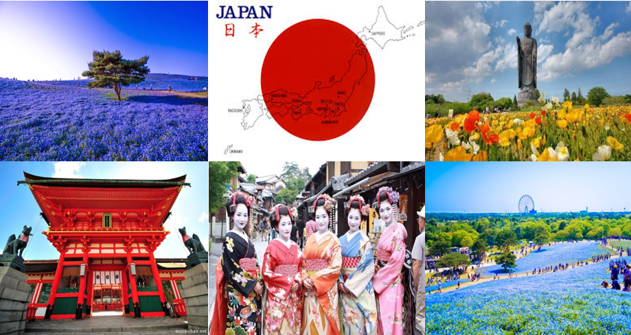 Du lịch Nhật Bản dễ dàng hơn với những bí quyết từ hướng dẫn viên bản địa