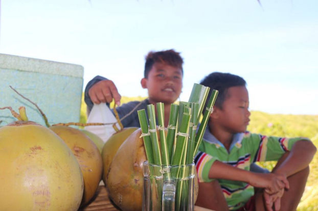   Ống hút lá dừa - giải pháp mới thân thiện với môi trường dành cho người yêu thiên nhiên, động thái được ghi nhận là hoàn toàn phù hợp với nỗ lực toàn cầu nhằm chấm dứt ô nhiễm nhựa, vấn đề lớn ảnh hưởng đến đại dương và quẩn thể sinh vật biển.  