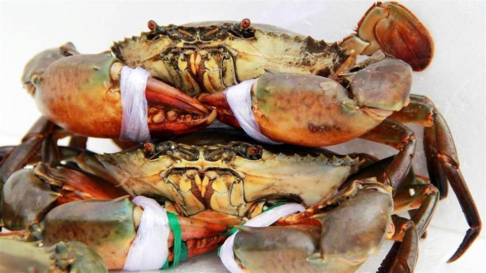 Giá cua biển tại Trà Vinh giảm 50.000 đồng/kg