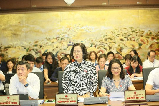  ĐBQH Trần Thị Quốc Khánh đề nghị làm rõ việc xử phạt hành chính vụ 