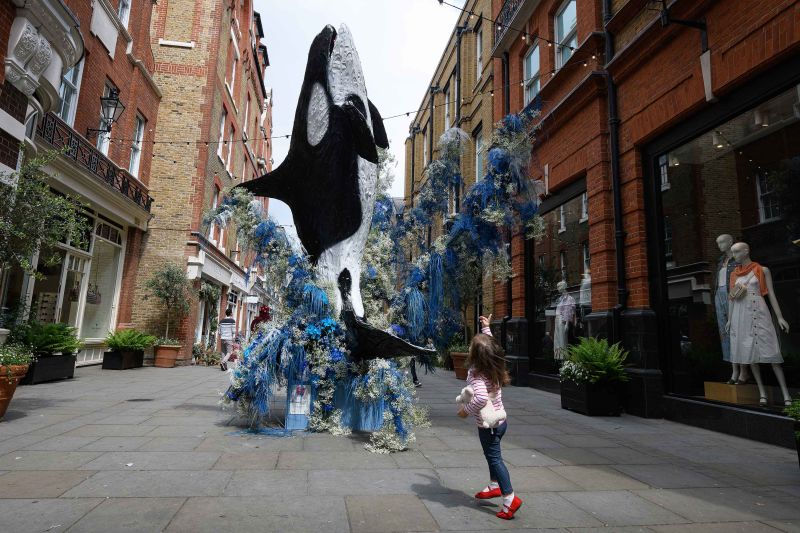 Mô hình cá voi Orca kích thước thật bằng hoa trên đường Pavilion Road. Ảnh: Leon Neal. 