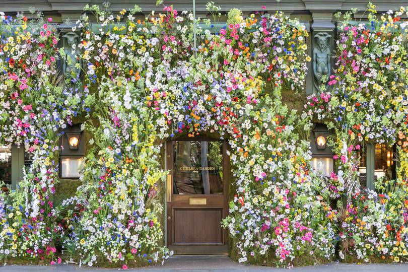 Cửa chính của The Ivy Chelsea Garden lọt thỏm giữa hàng trăm bông hoa. Ảnh: Sophie Knight. 