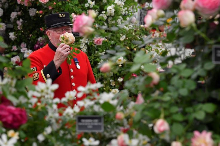 Một cựu binh Chelsea dừng lại thưởng thức hương thơm của hoa hồng. Ảnh: 